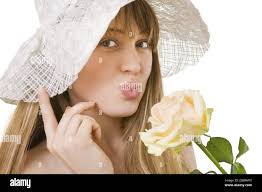 Rosa indica hi-res stock photography and images