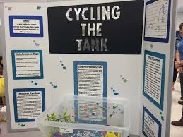 Biology Science Fair Projects Ideas 75 Science Fair Project Ideas Science Fair Projects Kids Science Fair Projects Middle School Science Fair Projects