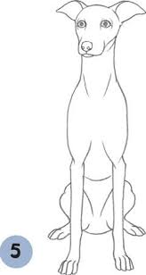 How To Draw A Greyhound Google Search Greyhound Art Paintings Dog Face Drawing Italian Greyhound Art