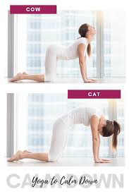 Cat And Cow Pose Are Great Yoga Poses To Calm Down Check Out Our Full 15 Minute Flow To Calm Down Before B Beginner Yoga Workout Yoga Poses Yoga Balance Poses