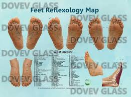 Reflexology Foot Chart Map English Digital File Foot Massage Reflexology Poster Fetal Reflection Reflexology Health Coded Chart Guide