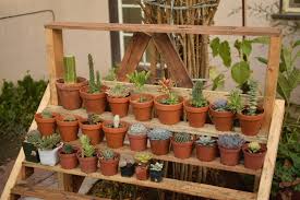 From lush succulents to blooming sickle, you can put all your potted plants on display with this stylish stand. Pin On Diy Projects Decor