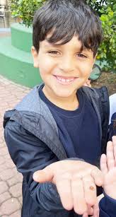 Investigando os pequenos animais de jardim