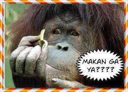 Koleksi cemerlang gambar orang galau sendiri, baru! 98 Foto Dan Gambar Lucu Yang Bikin Kamu Ngakak Lucu Gambar Lucu Semuanya Lucu