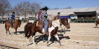 We did not find results for: Cheval Passion A Avignon Photos Horizon Provence