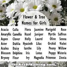 What Are Your Favorite Flower Or Tree Names For Girls Babynames Click To View An Even More Complete List Flower Names For Girls Girl Names Names With Meaning