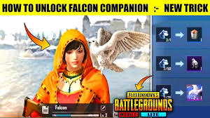 Secret code to get free companion in pubg mobile! How To Upgrade Companion Level In Pubg Mobile Lite Youtubers Relacionados Youtube Search Noxinfluencer