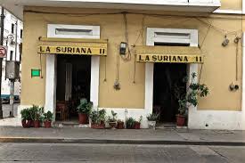 Image result for Suriana