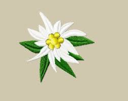 Pin On Zabawawawa