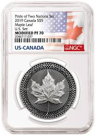 Proof coins are struck on specially prepared planchets and then polished to a mirror finish. Learn Grading What Is A Proof Coin Ngc