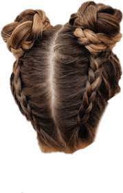 Download Hair Bun Buns Braid Braids Hairstyle Updo Hairdo Bun Hairstyles Png Free Png Images Toppng