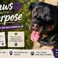 Paws With Purpose