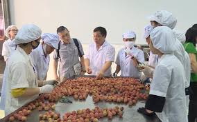 Bộ trưởng công thương đề nghị mở lại chợ truyền thống nhưng phó thủ tướng vũ đức đam cho rằng cần cẩn trọng. Háº£i DÆ°Æ¡ng Sá»Ÿ Há»¯u Thá»© Nay Nhiá»u Nháº¥t Cáº£ NÆ°á»›c Khong Co No Kho Xuáº¥t Kháº©u Váº£i Thiá»u Sang Nháº­t Báº£n La Thá»© Gi