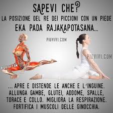 Posizione Del Re Dei Piccioni Con Un Piede Eka Pada Rajakapotasana Esercizi Di Yoga Esercizi Di Stretching Esercizi
