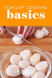 3 Easy Ways To Cook Scallops At Home In 2020 Easy Scallop Recipes Scallop Recipes How To Cook Scallops