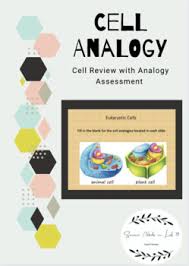 Cell organelle kitchen analogies worksheet. Cell Organelle Analogy Worksheets Teaching Resources Tpt