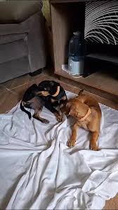 Marta Hammer (@marta_hammer) • Instagram photos and videos