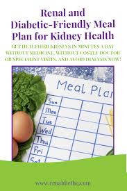 What is a renal diet? Pin By Pat Mcwilliams On Kidney Disease Diet Recipes Kidney Disease Diet Recipes Diabetic Diet Meal Plan Kidney Disease Diet
