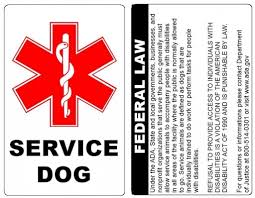 Tag With Ada Service Dog Id Badge Law On The Back Durable Pvc Credit Card Size Service Dogs Service Dog Patches Ada Service Dog
