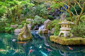 Japanese Garden Koi Pond Japanese Gan Pond In Australia Were Still In Australia There Are So M Japanese Water Gardens Portland Japanese Garden Japanese Garden