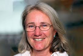 In plane sight: a mark-recapture analysis of North Atlantic right whales in  the Gulf of St. Lawrence