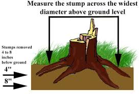 Check spelling or type a new query. Stump Grinding Service Pricing