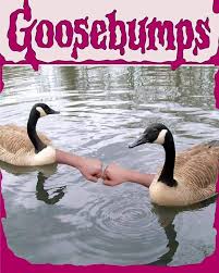 The Best Geese Memes Memedroid