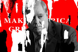 Lindsey graham shocked a cnn anchor with his language while comparing president trump's decision to leave syria and. Lindsey Graham In Close Race After Embracing Trump