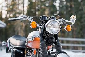 Image result for Honeysuckle 1972 Triumph