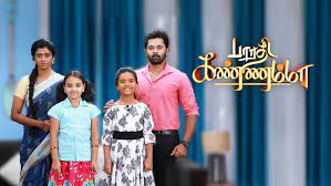 Vijay television has different genres of fictions. Barathi Kannamma Disney Hotstar