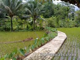Tanah 7000 M2 Di Cigombong Lido Kab Bogor Lido Outdoor Outdoor Decor