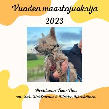 Savo-Karjalan Vinttikoiraharrastajat ry