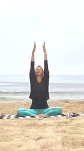 There's quite a lot of talk going on about these amazing and loving goats and the art of combining it with the practice of yoga, goat class meditation, stretching and more. Union Yoga Beyond The Studio Old Monterey