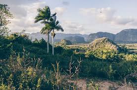 Hier findest du alles was du über sehenswürdigkeiten, ausflüge. Kuba Das Pittoreske Vinales Tal In Pinar Del Rio Reisehappen