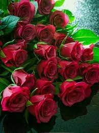 Pin By Mr Rj On Flowers Wonderful Flowers Beautiful Rose Flowers Bunch Of Red Roses