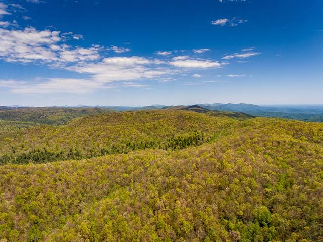 Continental Divide Tract at DuPont State Forest - Conserving Carolina