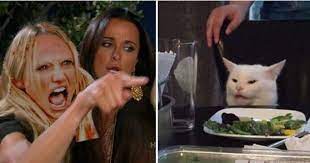 Cameron Diaz Yelling Woman Yelling At A Cat Woman Meme Cat Memes Best Memes