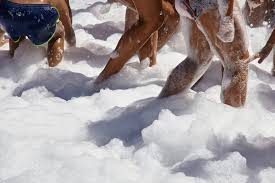 Image result for foamparty