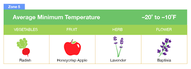 Planting Zones Map Find Your Plant Hardiness Growing Zone