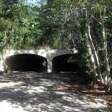 Take control of your venue. Dagney Johnson Hammock Botanical State Park Key Largo Fl Picture Of Dagny Johnson Key Largo Hammock Botanical State Park Key Largo Tripadvisor