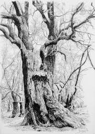 Tinta China Con Plumilla Sobre Papel Satinado Tree Drawing Landscape Drawings Tree Art