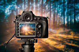 Dslr Camera Picture Quality 1600x1067 Download Hd Wallpaper Wallpapertip Don't forgot to give good rating to us. dslr camera picture quality 1600x1067