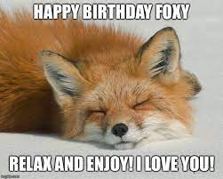 Image Tagged In Sleeping Fox Imgflip