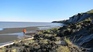 Subsea permafrost in the Laptev Sea: Influences on degradation, state and  distribution