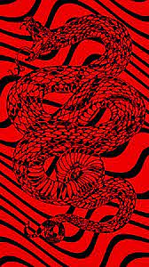 Red Snake Wallpaper Snake Wallpaper Red And Black Wallpaper Red And Black Background