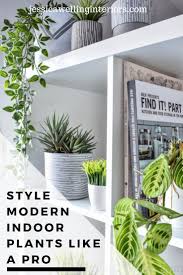 How To Style Indoor Plants 6 Designer Tips Jessica Welling Interiors Bedroom Plants Farmhouse Style Lighting Indoor Plants