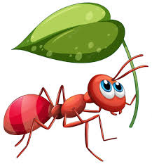 نتیجه جستجوی لغت [ants] در گوگل