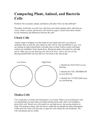 Check spelling or type a new query. What Are The Similarities And Differences Between Plant Animal And Bacterial Cells