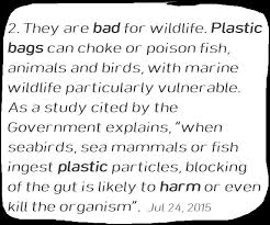 It can also relieve pressure on landfills and waste management. Write A Paragraph On The Harmful Effects Of Plastic Bags Brainly In