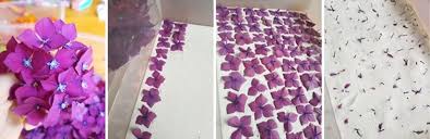 Violas in purple resin by cinethia. Resin Casting Tutorial Embedding Flowers In Resin